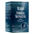 OCEAN Tribulus Terrestris Takviye Edici Gıda 60 Kapsül